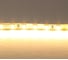 Лента Lightstar теплого белого свечения 24V 420503 1