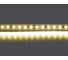 Лента Lightstar теплого белого свечения 24V 420803 1