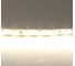 Лента Lightstar нейтрального белого свечения 24V 420504 1