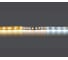 Лента Lightstar белого свечения MIX WHITE 24V 420820 1