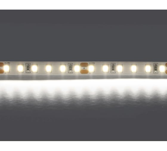 Лента Lightstar холодного белого свечения 24V 420805