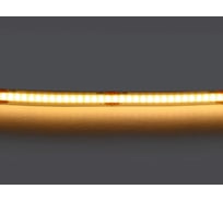 Лента Lightstar теплого белого свечения COB LED 24V 420833