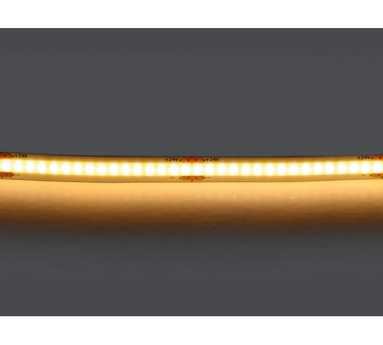 Лента Lightstar теплого белого свечения COB LED 24V 420833