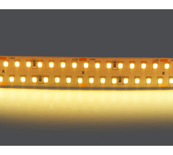 Лента Lightstar теплого белого свечения 24V 422003