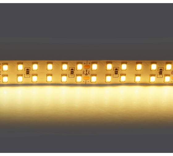 Лента Lightstar теплого белого свечения 24V 421503 1