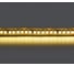 Лента Lightstar теплого белого свечения 24V 421023 1
