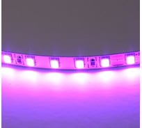 Лента Lightstar цветного свечения 24V, фиолетовый 420518