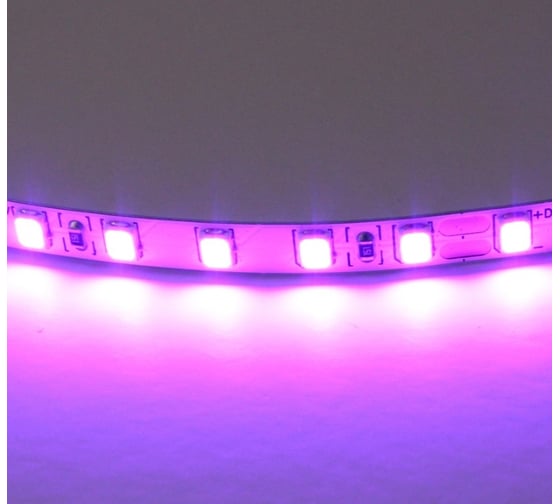 Лента Lightstar цветного свечения 24V, фиолетовый 420518