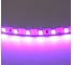 Лента Lightstar цветного свечения 24V, фиолетовый 420518 1