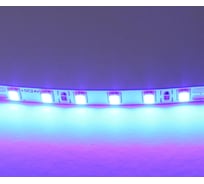 Лента Lightstar цветного свечения 24V, синий 420515