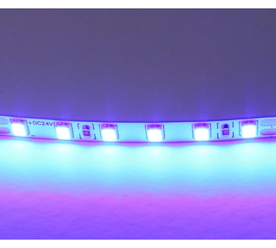 Лента Lightstar цветного свечения 24V, синий 420515 1