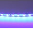 Лента Lightstar цветного свечения 24V, синий 420515 1