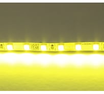 Лента Lightstar цветного свечения 24V, лимонный 420519