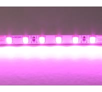 Лента Lightstar цветного свечения 24V, розовый 420512