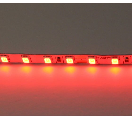 Лента Lightstar цветного свечения 24V, красный 420511 1