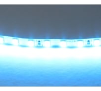 Лента Lightstar цветного свечения 24V, голубой 420516