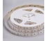 Лента светодиодная General Lighting Systems GLS-2216-240-22-24-IP20-PRM-4, 5 метров, 22Вт/м, 24В, 10мм, 240 диодов/м, 16Лм/чип, IP20, 4500К - нейтральный белый 502741 2
