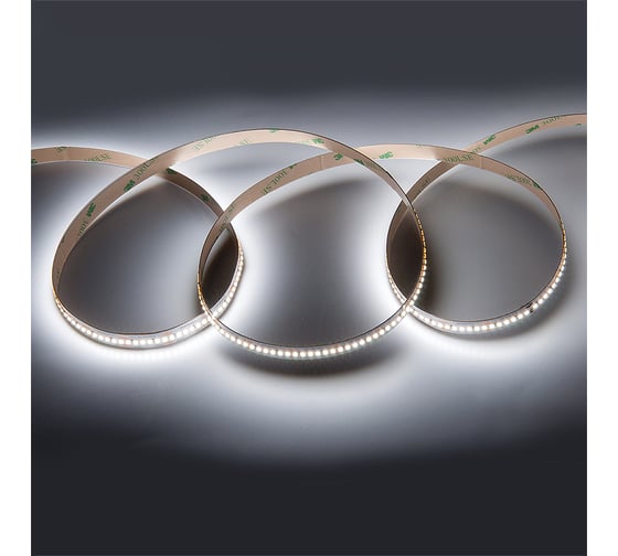 Светодиодная лента General Lighting Systems 5 м, 25Вт/м, 24В, SMD2216, 10мм, IP20, 6500К, холодный белый GLS-2216-300-25-24-IP20-PRM-6 502840 1