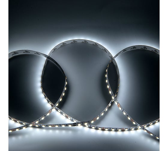 Светодиодная лента General Lighting Systems 5 м, 9,6Вт/м, 12В, 8мм, 7Лм/чип, IP20, 6500К, холодный белый GLS-2835-120-9,6-12-IP20-6 501410