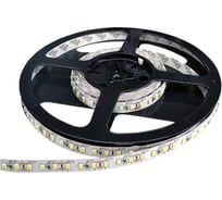 Лента светодиодная General Lighting Systems GLS-2835-120-9,6-12-IP20-PROL-6 5м 9,6Вт/м 12В 8мм IP20 6500К-холодный белый 501430