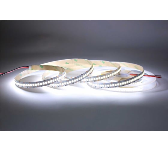 Светодиодная лента General Lighting Systems  GLS-2835-240-19.2-12-IP20-6, 5 метров, 19,2Вт/м, 12В, 10мм, 16Лм/чип, IP20, 6500К - холодный белый 501450