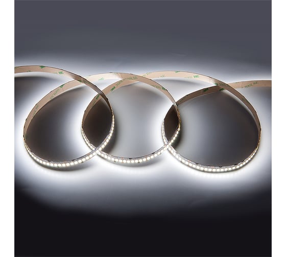 Светодиодная лента General Lighting Systems GLS-2835-240-22-24-IP20-PRM-6, 5 метров, 22Вт/м, 24В, SMD2835, 10мм, IP20, 6500К, холодный белый 502240