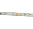 Светодиодная лента General Lighting Systems GLS-2835-60-4.8-12-IP65-6, 5 метров, 4,8Вт/м, 12В, SMD2835, 8мм, 7Лм/чип, IP65, 6500К,холодный белый 500510 4