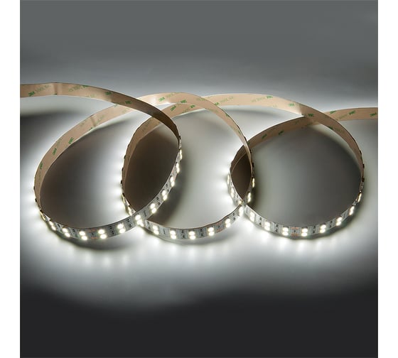 Светодиодная лента General Lighting Systems 5 м, 28,8Вт/м, 24В, SMD5050, 16мм, IP20, 6500К, холодный белый GLS-5050-120-28.8-24-IP20-PRM-6 502440