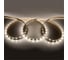 Лента светодиодная General Lighting Systems GLS-5050-60-14.4-24-IP20-PRM-4, 5 метров, 14,4Вт/м, 24В, SMD5050, 10мм, 60 диодов/м, 22Лм/чип, IP20, 4500К -нейтральный белый, 502341 2