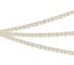 Светодиодная лента Arlight MICROLED-M420-8 мм 24V White6000 5 м 046742 1