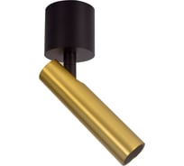 Потолочный светильник MAYTONI Focus T Черный C141CL-L125-6W3K-B