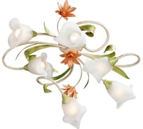 Люстра Vitaluce V1532/6PL