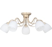 Люстра Vitaluce V3598/5PL
