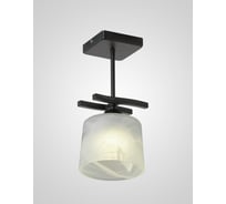 Потолочный светильник Мелодия Света SS5274-1 BK 000061917