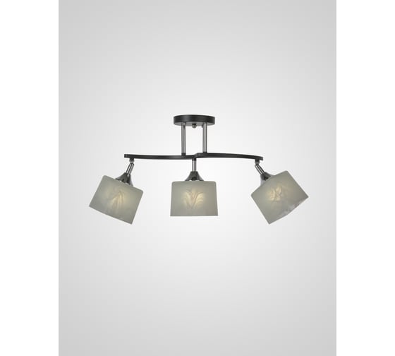 Потолочный светильник Мелодия Света P5507-3 BK 000050568