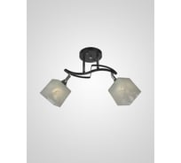 Потолочный светильник Мелодия Света P5507-2 BK 000050567