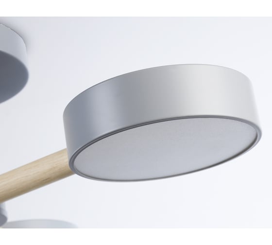 Потолочный светодиодный светильник Ambrella Light COMFORT FL4822