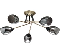 Потолочная люстра De City Вита 220014005