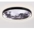 Настенно-потолочный светодиодный светильник Ambrella Light WALLERS FW11114 6