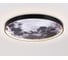 Настенно-потолочный светодиодный светильник Ambrella Light WALLERS FW11114 7