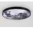 Настенно-потолочный светодиодный светильник Ambrella Light WALLERS FW11114 9