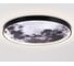 Настенно-потолочный светодиодный светильник Ambrella Light WALLERS FW11115 6