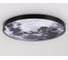 Настенно-потолочный светодиодный светильник Ambrella Light WALLERS FW11115 9