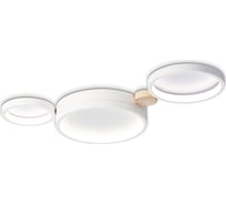 Настенно-потолочный светодиодный светильник Ambrella Light COMFORT FL4812