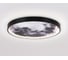 Настенно-потолочный светодиодный светильник Ambrella Light WALLERS FW11112 6