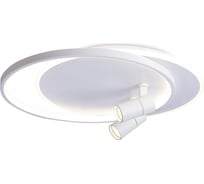 Настенно-потолочный светодиодный светильник Ambrella Light COMFORT FL51391