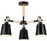 Потолочная люстра Ambrella Light TRADITIONAL TR82206 1