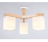 Потолочная люстра Ambrella Light TRADITIONAL TR83115 3