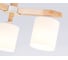 Потолочная люстра Ambrella Light TRADITIONAL TR83112 2