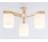 Потолочная люстра Ambrella Light TRADITIONAL TR83112 3